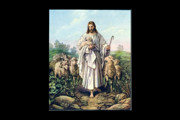 The Good Shepherd